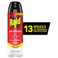 Raid Lemon Scent Ant & Roach Killer 26, 17.5 oz