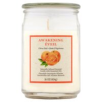 Star Candle Co Two Wick Awakening Citrus Zest Scented Candle, 16 oz, 16 Ounce