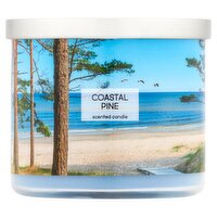 Star Candle Company Coastal Pine Scented Candle, 13 oz