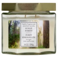 Star Candle Co Sunlit Forest Candle, 14 oz, 14 Ounce