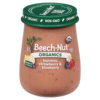 Beech-Nut Organics Banana, Strawberry & Blueberry Baby Food, Stage 2, 6+ Months, 4 oz