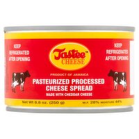 Tastee Cheese Pasteurized Processed Cheese Spread, 8.8 oz