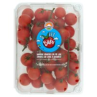 Sunset® Sweet Bites® Tomatoes On-The-Vine 12oz