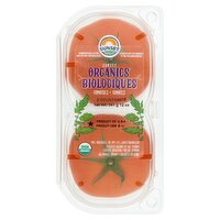 Sunset® Organic Beefsteak Tomatoes 12oz