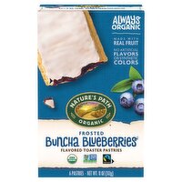 Nature's Path Buncha Blueberries Frosted Toaster Pastries, 11 oz