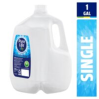 Pure Life Purified Water, 1 gal