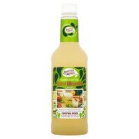 Master of Mixes Handcrafted Spicy Margarita Cocktail Mixer, 33.8 fl oz