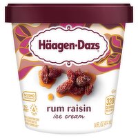 Häagen-Dazs Rum Raisin Ice Cream, 14 fl oz, 14 Fluid ounce