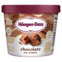 Häagen-Dazs Chocolate Ice Cream, 3.6 fl oz, 3.6 Fluid ounce