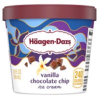 Häagen-Dazs Vanilla Chocolate Chip Ice Cream, 3.6 fl oz