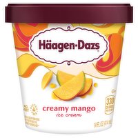 Häagen-Dazs Creamy Mango Ice Cream, 14 fl oz, 14 Fluid ounce