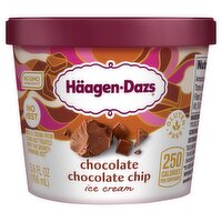 Häagen-Dazs Chocolate Chip Ice Cream, 3.6 fl oz