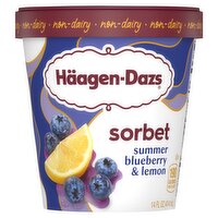 Häagen-Dazs Summer Blueberry & Lemon Sorbet, 14 fl oz