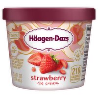 Häagen-Dazs Strawberry Ice Cream, 3.6 fl oz, 3.6 Fluid ounce