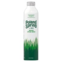 Poland Spring Maine Spring Water, 25 fl oz