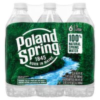 POLAND SPRING Brand 100% Natural Spring Water, 16.9-ounce plastic bottles (Pack of 6)