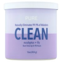 Pure Clean Eucalyptus + Lily Candle, 16 oz