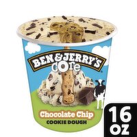 Ben & Jerry's Core Chocolate Chip Cookie Dough Ice Cream, one pint