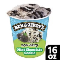 Ben & Jerry's Mint Chocolate Cookie Non-Dairy Frozen Dessert, 1 pint