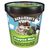 Ben & Jerry's Topped Mint Ice Cream, 15.2 fl oz