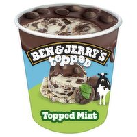 Ben & Jerry's Topped Mint Ice Cream, 15.2 fl oz