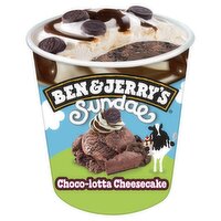 Ben & Jerry's Sundae Choco-Lotta Cheesecake Ice Cream, 14.4 fl oz