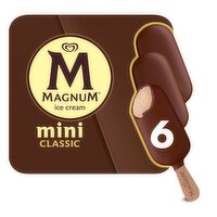 Magnum Ice Cream Bars Classic 11.1 oz, 6 Count