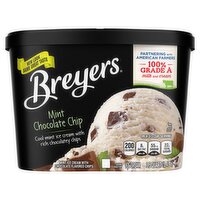 Breyers Ice Cream Mint Chocolate Chip 48 oz, 48 Fluid ounce