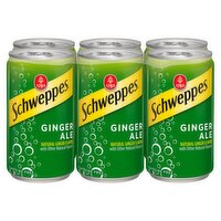 Schweppes Ginger Ale, 45 Fluid ounce