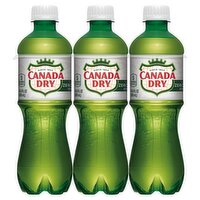 Canada Dry Zero Sugar Ginger Ale, 6 count, 16.9 fl oz, 101.44 Fluid ounce