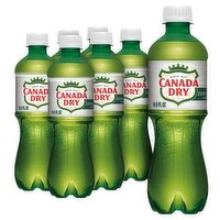 Canada Dry Zero Sugar Ginger Ale, 6 count, 16.9 fl oz, 101.44 Fluid ounce