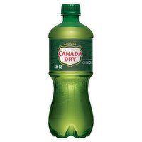Canada Dry Ginger Ale, 20 fl oz, 20 Fluid ounce