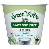 Green Valley Organic Plain Lowfat Yogurt, 6 oz, 6 Ounce