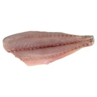 Fresh Bluefish Fillet