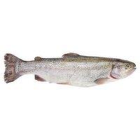 Fresh Whole Fully Cleaned Rainbow Trout