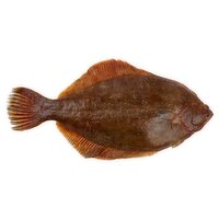 Fresh Whole Flounder, Large