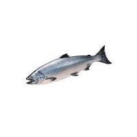 Fresh Atlantic Salmon - Whole, 1 pound