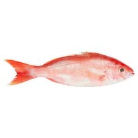 Fresh Wild Caught Red Snapper