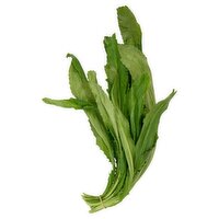 Fresh Recaito Leaf, bunch