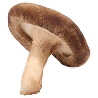 Fresh Shiitake Mushrooms