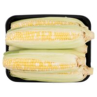 Tray Pack Corn 5 Count