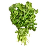 Fresh Organic Cilantro, bunch