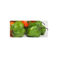 Peppers Ajicito, 1 pound