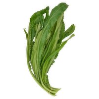 Fresh Recaito Leaf, bunch