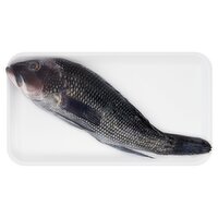 Fresh Whole Cleaned Black Sea Bass
