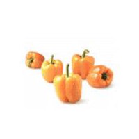 Pepper Orange Holland, 1 pound