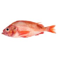 Fresh Ocean Perch, Whole