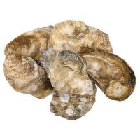 Fresh Duxbury Oysters, Live, Farm Raised