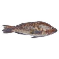 Fresh Whole Black Seabass
