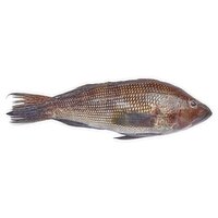 Fresh Whole Black Seabass, 1 Pound